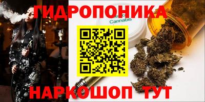 прущие грибы Нарткала