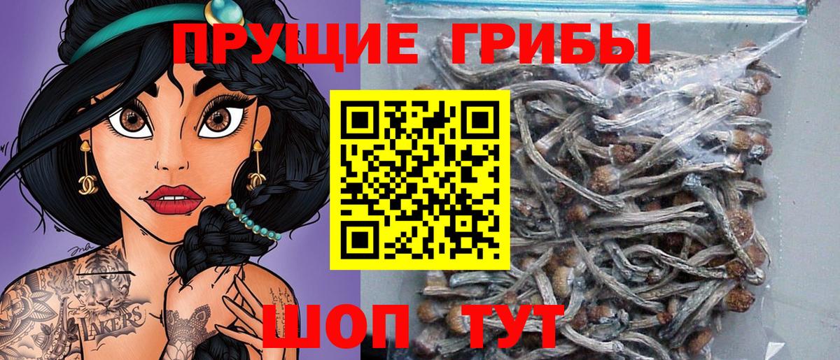 Ступино  Псилоцибиновые грибы MAGIC MUSHROOMS  Вход с VPN 
