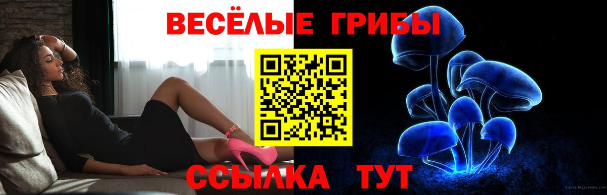 Галлюциногенные грибы MAGIC MUSHROOMS Ступино