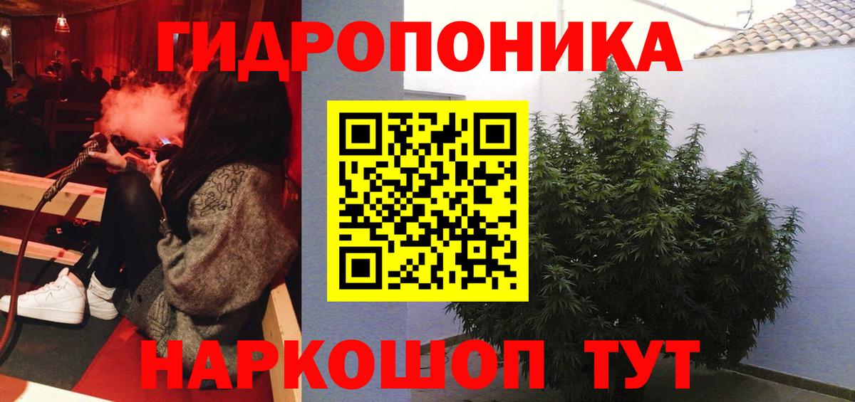 Ступино  Марихуана план  Конопля ГИДРОПОН  Марихуана планчик  Вход с VPN 